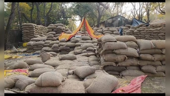 MP में कई करोड़ की धन घोटाला, रईस मिलर ने बेच दी 24,000 क्विंटल घोटाला.. धान